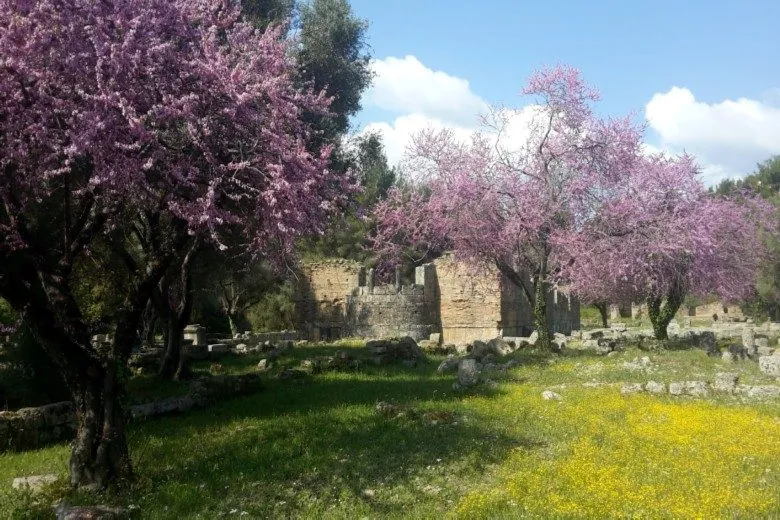 Ανθισμένα δέντρα και κίτρινα αγριολούλουδα στον αρχαιολογικό χώρο