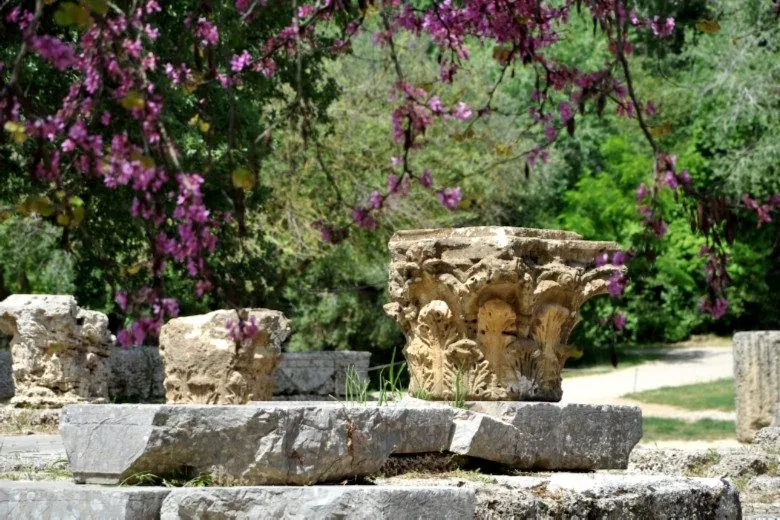 Κιονόκρανο ανάμεσα σε μοβ λουλούδια